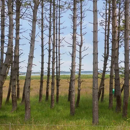 Bv366-blavand-skaubjergvej-4