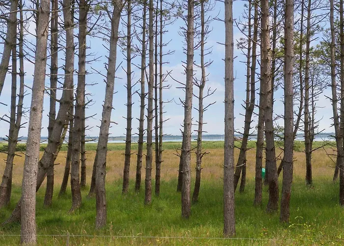 Bv366-blavand-skaubjergvej-4