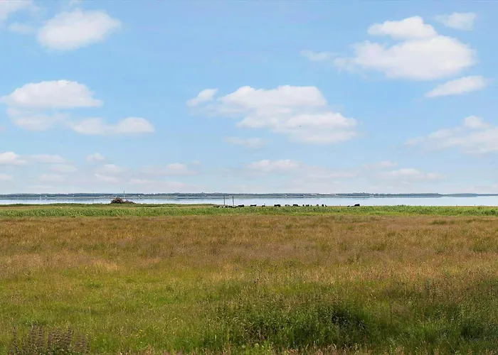 Bv366-blavand-skaubjergvej-4 Prázdninový dům